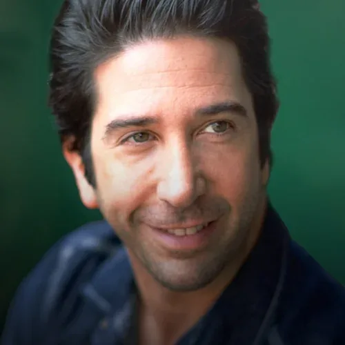 David Schwimmer