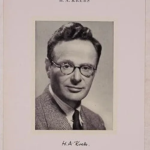 Hans Krebs