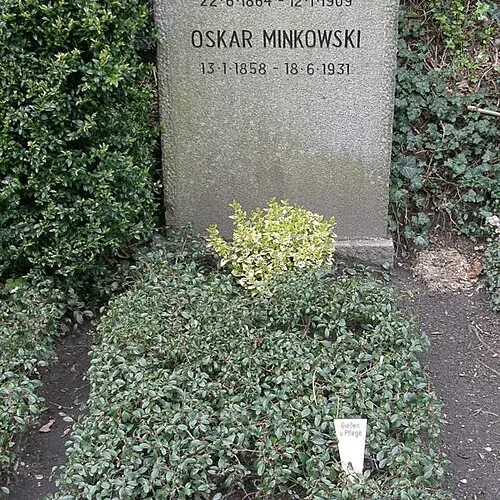 Hermann Minkowski