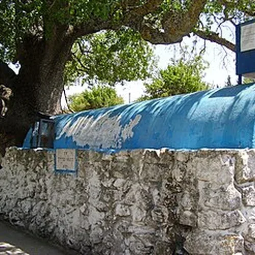 Tarfon